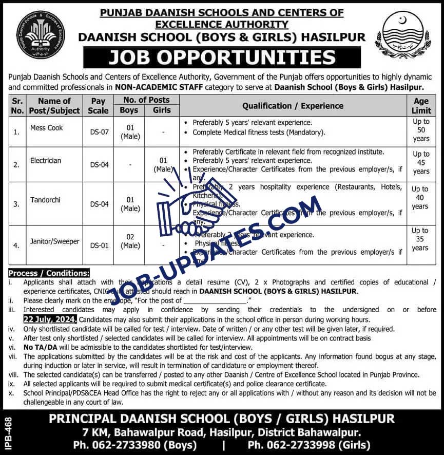 Jobs in Danish School Hasilpur