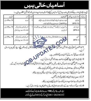 Government Organization Job Openings from BPS-01 to BPS-13 in Quetta for 2024